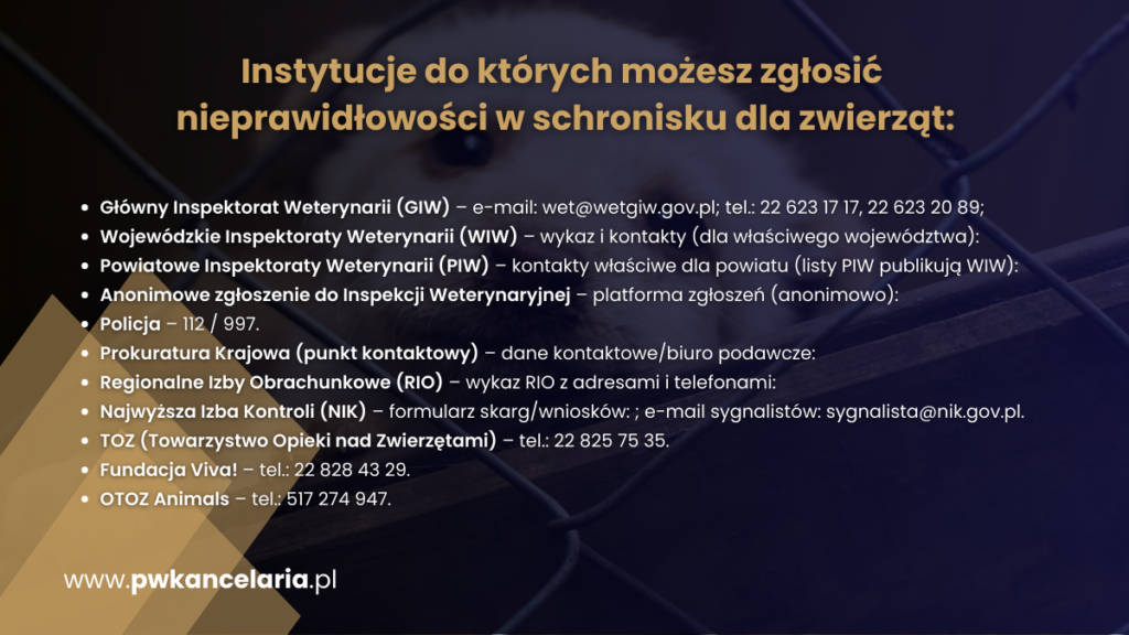 gdzie zgłosić nieprawidłowości w schronisku