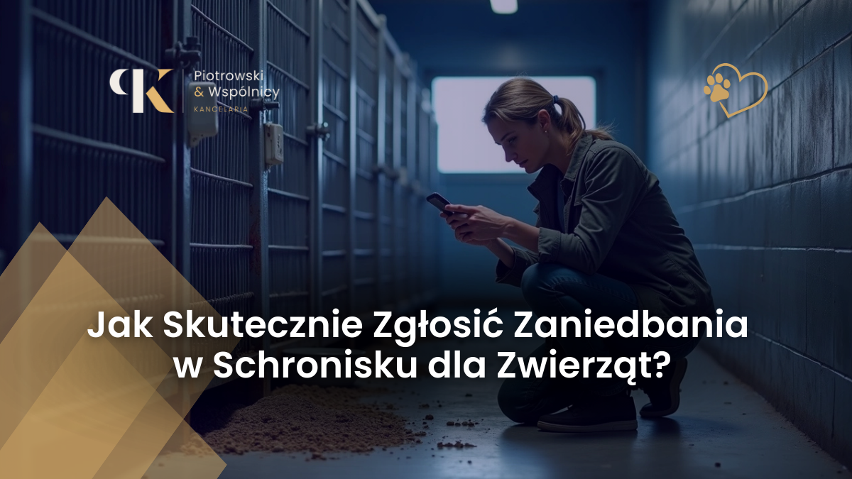 Zgłoszenie Zaniedbania w Schronisku dla Zwierząt